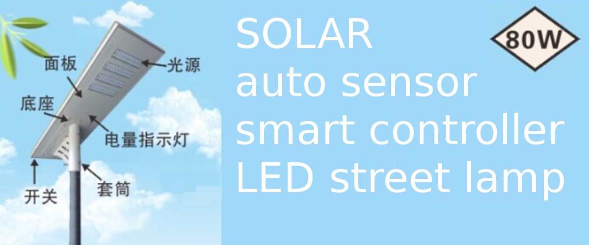 Solar auto sensor LED street lamp